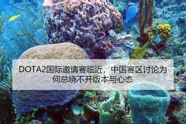 DOTA2国际邀请赛临近，中国赛区讨论为何总绕不开版本与心态